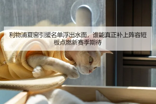 利物浦夏窗引援名单浮出水面，谁能真正补上阵容短板点燃新赛季期待
